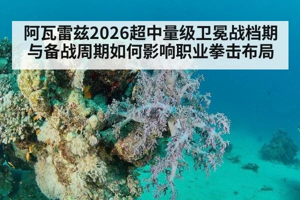 阿瓦雷兹2026超中量级卫冕战档期与备战周期如何影响职业拳击布局